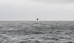 IN PICS | Rescue Operation Conducted By Indian Navy Ships On Wednesday; 38 Still Reported Missing