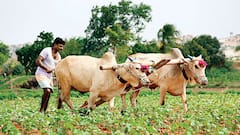 Understand how will PM Modi's historic step on DAP fertilizer prices to help farmers