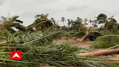 'જે આંબાના છોડનું 20-20 વર્ષ જતન કર્યુ એ તૂટી ગયા છે...અને એટલે જ ખેડૂતની કમર તૂટી ગઇ છે'