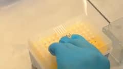 Rajkot:સૌરાષ્ટ્ર યુનિ.માં 15 લાખના ખર્ચે શરૂ કરાઈ લેબોરેટરી, એક દિવસમાં કેટલા સેમ્પલ કરાશે ટેસ્ટ?