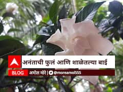 BLOG : अनंताची फुलं आणि शाळेतल्या बाई