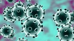 Breaking News : जानें क्या है Vaccination पर नई Guidelines...