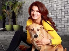 जब एक पालतू कुत्ते की वजह से आने लगे थे Raveena Tandon को फिरौती के कॉल