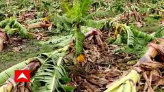 એક-એક દોઢ-દોઢ દસકા સુધી જતન કરેલું વૃક્ષ પડી જાય ત્યારે મોટો કરેલો દીકરો કમાઉ થવાનો હોય ને અકાળે મૃત્યુ પામે એટલું દુઃખ થતું હોય છે....