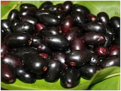 जामुन के एक नहीं अनेक फायदे, Blackberry का शानदार देसी विकल्प है