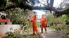 રાજ્યમાં તૌકતે વાવાઝોડાએ કયા વિસ્તારના ખેડૂતોને કેટલા કર્યા પાયમાલ?,જુઓ વીડિયો