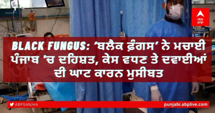 Black Fungus cases is increasing in Bathinda with the lack of Amphotericin injection amid Covid-19 Black Fungus: ‘ਬਲੈਕ ਫ਼ੰਗਸ’ ਨੇ ਮਚਾਈ ਪੰਜਾਬ 'ਚ ਦਹਿਸ਼ਤ, ਕੇਸ ਵਧਣ ਤੇ ਦਵਾਈਆਂ ਦੀ ਘਾਟ ਕਾਰਨ ਮੁਸੀਬਤ