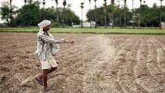 મોદી સરકારે ખેડૂતોને કરાવ્યો બહુ મોટો ફાયદો, જાણો ખાતરના ભાવમાં કરાયો કેટલો મોટો ઘટાડો ?