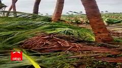 'કેળાના પાક પકવતા ખેડૂતો ઘણા દુખી છે...હવે 18000 રૂપિયા જ્યારે હેક્ટરમાં સરકાર નુકસાની આપે હવે તમારા હિસાબે ખેડૂતને શું મળશે?