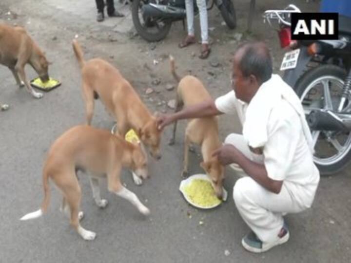 Maharastra man feeds 190 stray dogs with Briyani during this lockdown ”அதுங்க என்னோட குழந்தைங்க மாதிரி” - லாக்டவுனில் 190 தெரு நாய்களுக்கு பிரியாணி அளிக்கும் ரஞ்சித்நாத்