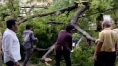 Ahmedabad: વાવાઝોડાએ ખોલી AMCની પોલ, કેટલા વૃક્ષો અને હોર્ડિગ્સ થયા ધરાશાયી?, જુઓ વીડિયો