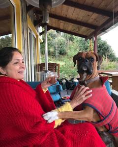 वक्त मिलते ही निकल पड़ती हैं मुक्तेश्वर, देखें Neena Gupta के पहाड़ों पर बने इस खूबसूरत घर की सुंदर तस्वीरें