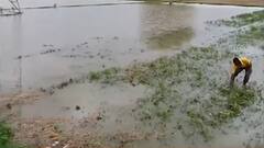 વાવાઝોડાએ ફેરવ્યું સાબરકાંઠાના ખેડૂતોની આશા પર પાણી,ઉનાળુ પાકને થયુ ભારે નુકસાન, જુઓ વીડિયો