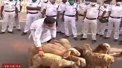 Narada Scam Probe : রাজভবনের সামনে ভেড়ার পাল, অভিযুক্তের বিরুদ্ধে একাধিক ধারায় মামলা