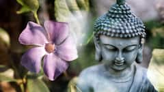 Take a look at your tarot reading for the day | Khush Kismat (20 May 2021)