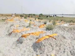 यूपी: गंगा किनारे शव दफनाने पर शुरू हुई सियासत, संजय सिंह बोले- लकड़ियों की कालाबाजारी हो रही है