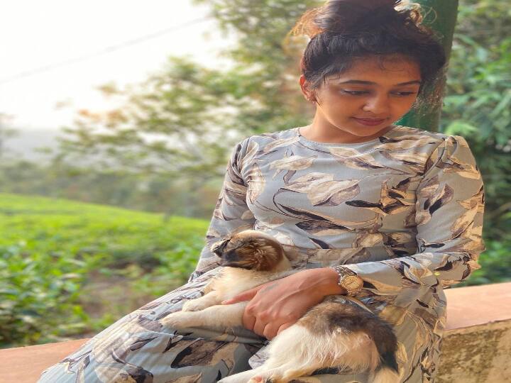 கார்த்திக் சுப்புராஜ் படமான ஜிகர்தண்டா படத்தில் நடிகர் சித்தார்த் உடன் நடித்தார்.
