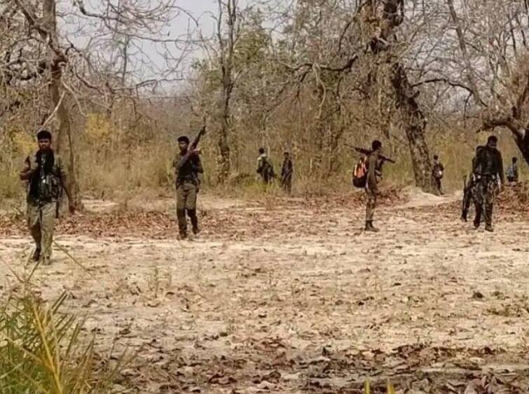 Gadchiroli Naxal killed in Milind Teltumbde other most wanted Naxals killed in police encounter latest updates नक्षल्यांना मोठा दणका! लाखोंचा इनाम असलेले मोस्ट वॉन्टेड नक्षली ठार, जाणून घ्या कुणावर किती बक्षीस