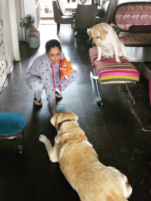 अंकिता के घर में दो कुत्ते भी हैं, जिनके वीडियो और तस्वीरें अपने सोशल मीडिया पर शेयर करती रहती है.