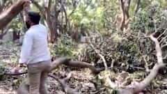 ગીર સોમનાથમાં યુધ્ધના ધોરણે સર્વેની કામગીરી