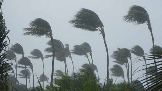 Cyclone Yaas: ঘূর্ণিঝড় 'ইয়াস' মোকাবিলার প্রস্তুতিতে নবান্নে উচ্চ পর্যায়ের বৈঠক