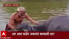 Kolhapur : म्हशींशी थेट संवाद साधणारे रिंगणेमामा! हिरण्यकेशी नदीत मालक अन् म्हशींचा अनोखा संवाद