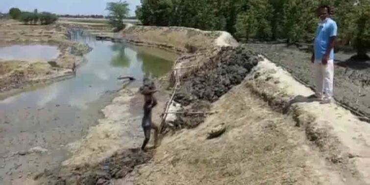 prevent the yaas a dam is constructing at Raydighi Yaas Cyclone Alert: আমফানের ক্ষত সারিয়ে ইয়াস রোখার চেষ্টা, রায়দিঘিতে চলছে বাঁধ নির্মাণের কাজ