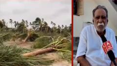 દેલવાડામાં નારિયેળીના વૃક્ષો થયા જમીનદોસ્ત,બગીચા બન્યા ઉજ્જડ