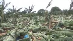 4 કૃષિ યુનિવર્સિટી વૃક્ષોનું કરશે પુનઃ સ્થાપન, કઈ યુનિવર્સિટીઓને સોંપાઈ જવાબદારી