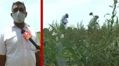 બોટાદમાં સર્વેની કામગીરી શરૂ, શું ફરી બેઠો થશે જગતનો તાત?