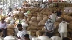 જામનગરના હાપા માર્કેટિંગ યાર્ડમાં જણસીઓની હરાજી