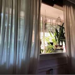 Dia Mirza Home: যেন এক টুকরো বাগান, ছবির মতো সাজানো পরিবেশ-প্রেমী দিয়া মির্জার মুম্বইয়ের বাড়ি