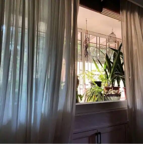 নিজের বিয়ের অনুষ্ঠানও পরিবেশ-বান্ধব রেখেছিলেন তিনি। খেয়াল রেখেছিলেন, কোনও খাবার-দাবার নষ্ট না হয়।অর্থাৎ, কোনও বর্জ্য যাতে না হয়। সেইসঙ্গে খেয়াল রেখেছিলেন, কোনও প্ল্যাস্টিকের ব্যবহার যাতে না হয়।