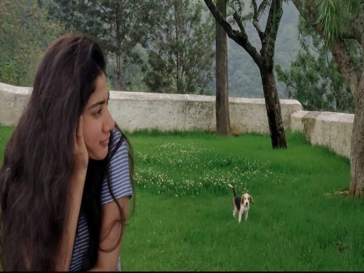 ஜோர்ஜியாவின் திபிலிசியில் மருத்துவத்தில் பட்டம் பெற்றார். தனது முதன்மை தொழில் எப்பொழுதும் டாக்டராக தான் இருக்கும் .இருதயநோய் நிபுணராக ஆக வேண்டும் என்று கூறினார்