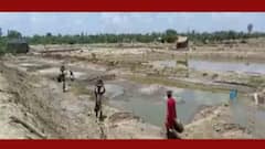 Cyclone Yaas: ইয়াসকে ঠেকাতে রায়দিঘিতে চলছে নদীবাঁধ সংস্কারের কাজ