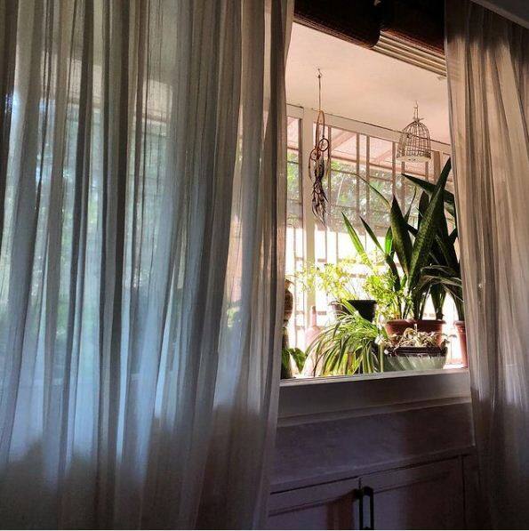 दीया ने तो एक इंटरव्यू में घर को छोटा जंगल तक बता दिया था क्योंकि इसमें उन्होंने पेड़-पौधों का बालकनी गार्डन भी बनाया हुआ था.