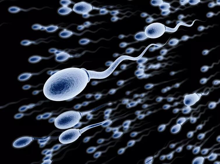 Sperm Count Declines Accelerate Worldwide Study Finds Latest marathi news update जगभरातील पुरुषांच्या शुक्राणूंची संख्या घटत असल्याचं चिंताजनक निरीक्षण! 