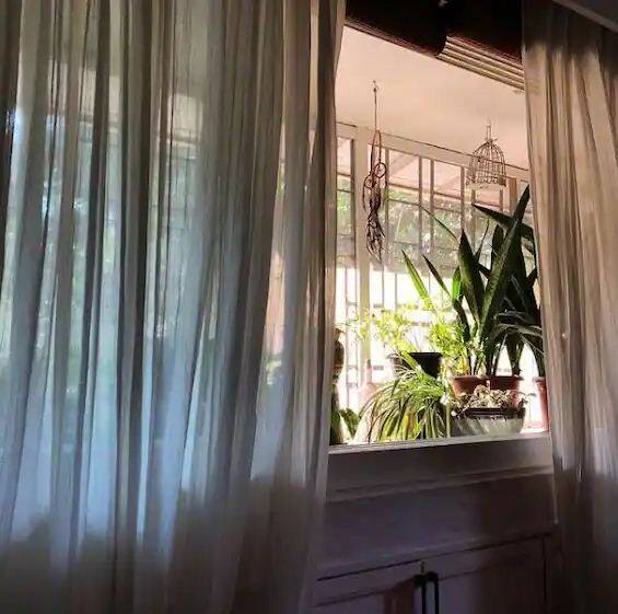 ਦੀਆ ਨੇ ਇੱਕ ਇੰਟਰਵਿਊ ਵਿੱਚ ਕਿਹਾ ਕਿ ਉਸ ਨੇ ਘਰ ਨੂੰ ਇੱਕ ਛੋਟਾ ਜੰਗਲ ਵੀ ਕਿਹਾ ਕਿਉਂਕਿ ਇਸ ਵਿੱਚ ਉਸਨੇ ਰੁੱਖਾਂ ਤੇ ਪੌਦਿਆਂ ਦੀ ਇੱਕ ਬਾਲਕੋਨੀ ਗਾਰਡਨ ਵੀ ਬਣਾਇਆ ਹੋਇਆ ਸੀ।