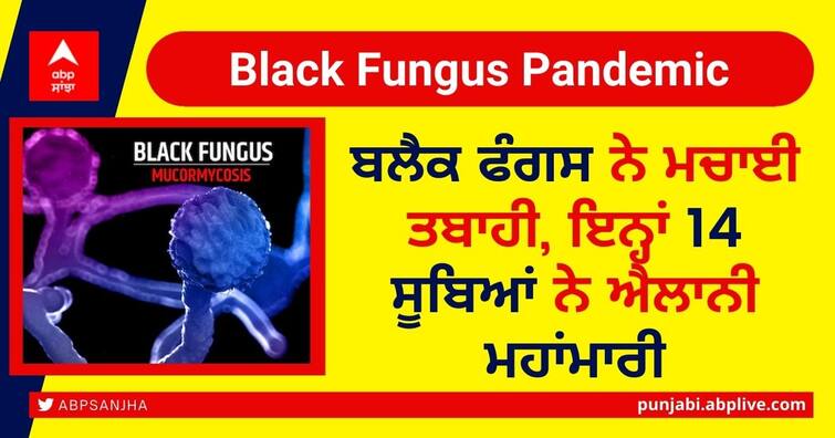 Black fungus attack in the India after Corona, epidemic declared in 14 states, know where many cases have been found Black Fungus Pandemic: ਬਲੈਕ ਫੰਗਸ ਨੇ ਮਚਾਈ ਤਬਾਹੀ, ਇਨ੍ਹਾਂ 14 ਸੂਬਿਆਂ ਨੇ ਐਲਾਨੀ ਮਹਾਂਮਾਰੀ