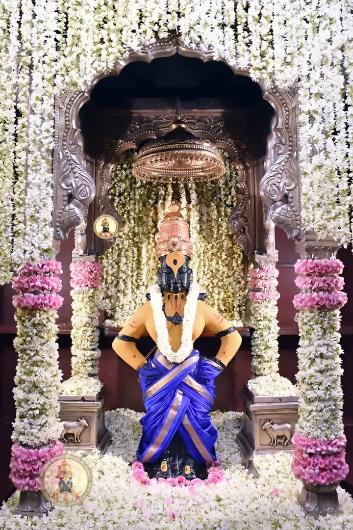 (Photo Credit : @PandharpurVR/Twitter)