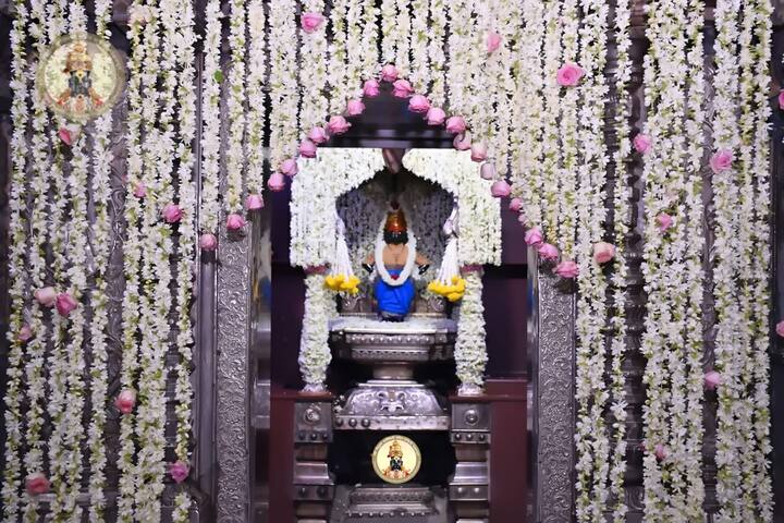 (Photo Credit : @PandharpurVR/Twitter)