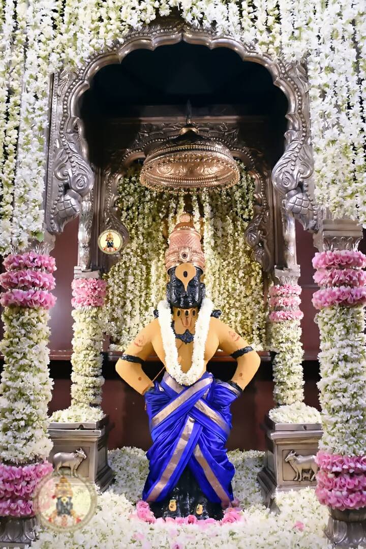 (Photo Credit : @PandharpurVR/Twitter)