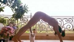 कैट योगा को लेकर जैकलीन ने किया मजेदार पोस्ट, इंटरनेट पर हो रहा है वायरल