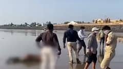 વલસાડના દરિયાકિનારે મળ્યા પાંચ મૃતદેહ, મુંબઇના જહાજના ક્રુ મેમ્બર હોવાની આશંકા