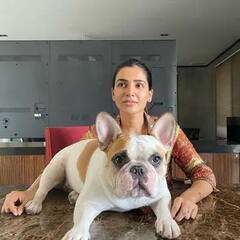 PHOTO : हैदराबादच्या आलिशान घरात राहते साऊथ सुपरस्टार नागार्जुनची सून Samantha Akkineni; पाहा Inside फोटो