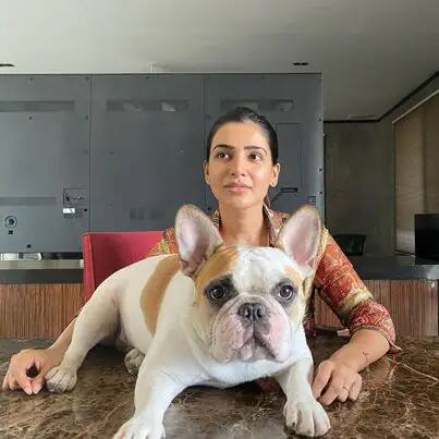 समंथा अक्किनेनी म्हणजे, साऊथ इंडस्ट्रीमधील एक मोठं नाव. लाखो तरुणांच्या गळ्यातील ताईत असणारी समंथा साऊथ स्टार नागार्जुन यांची सून आहे. नागार्जुन यांचा मुलगा साऊथ स्टार नागा चैतन्यसोबत समंथाने आपली लग्नगाठ बांधली आहे. समंथा हैदराबादमध्ये राहते. (Photo Credit : @samantharuthprabhuoffl/Instagram)