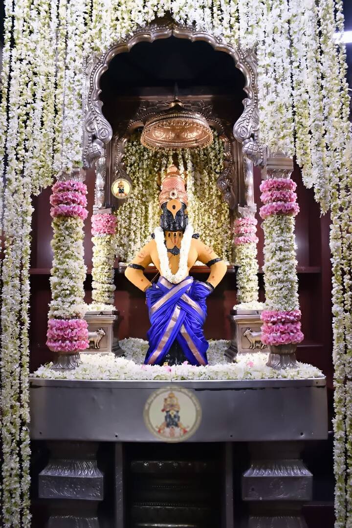 (Photo Credit : @PandharpurVR/Twitter)