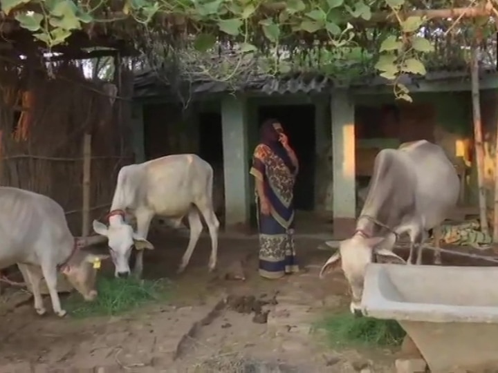 Bihar: Govt Health Center Turned To Cow Shed; No Professional Visited The Area In Over A Year