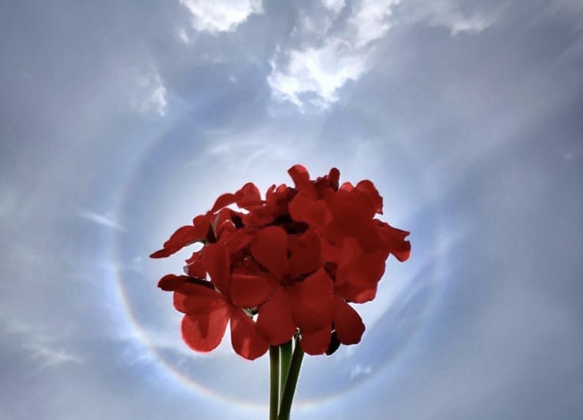 Sun Halo Unique Scenes Witnessed By Bengaluru Today Photo Viral What Is Sun  Halo