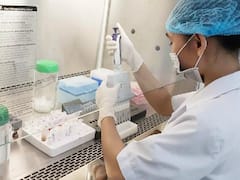 Yellow Fungus: काळ्या, पांढऱ्या बुरशीमागोमाग आता पिवळ्या बुरशीचा धोका; देशात पहिला रुग्ण आढळल्याची चर्चा